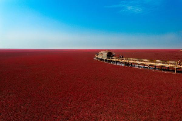 遼寧除了瀋陽大連，最有發展潛力的是這三座城，有你的家鄉嗎？
