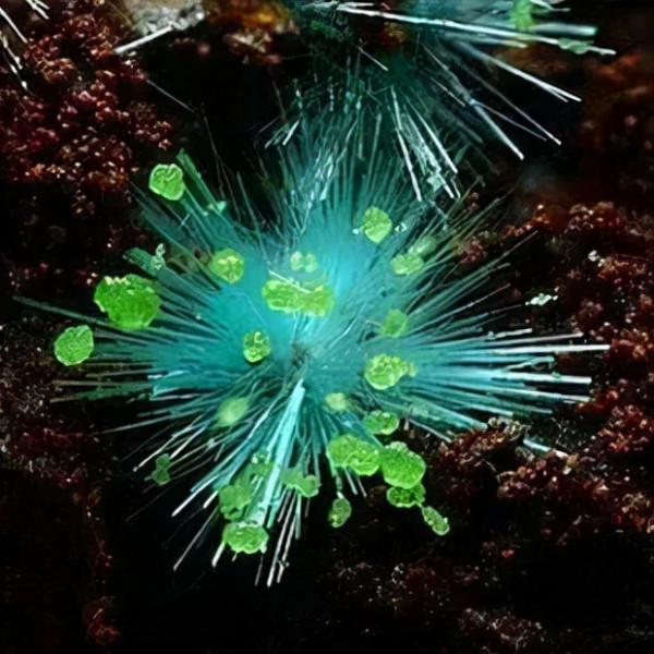 只知原石美可不行,帶你揭秘原石的“美貌密碼” 只知原石美可不行,帶你揭秘原石的“美貌密碼”