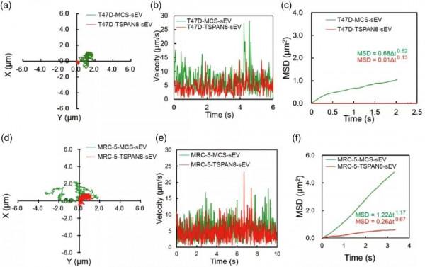 全球首次!南開大學取得腫瘤治療重大成果,引發國際關注! 全球首次!南開大學取得腫瘤治療重大成果,引發國際關注!
