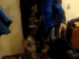 這絕對是你養狗最暖心的瞬間