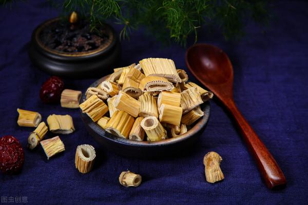 西醫和中醫：西醫是如何取得今天的地位的