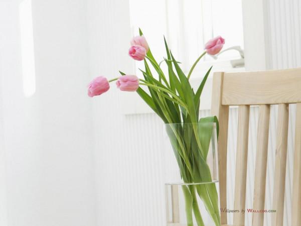 習慣並不等於是愛好