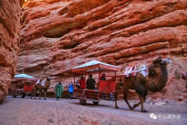 平山湖大峽谷風景優美,老年人注意有“坑” 平山湖大峽谷風景優美,老年人注意有“坑”