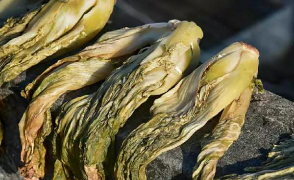 這5種廉價的蔬菜曬成幹，口感翻倍！放一年不壞，冬天燉肉特解饞