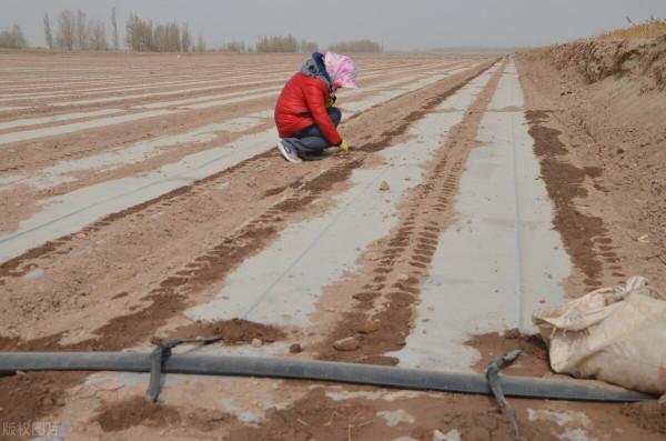 只有狠人才能幹好農業：對自己狠心，對事情拼命，對成果忍耐