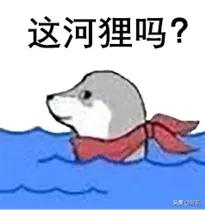 看了劉亦菲的無痕臥蠶，終於不焦慮了…