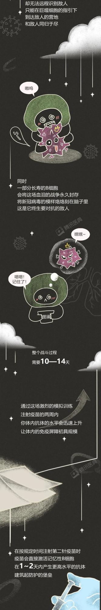 新冠疫苗進入你的身體後，發生了什麼？