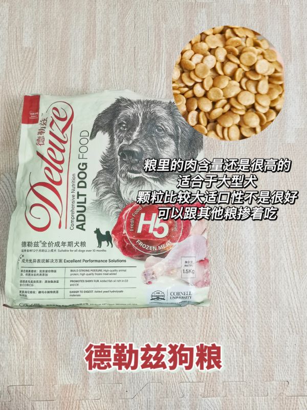 新手不要再瞎選毒糧了，好狗糧都在這