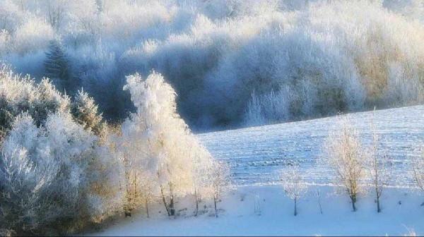 寒潮、立冬、初雪,和幾首美到骨子裡的詩 寒潮、立冬、初雪,和幾首美到骨子裡的詩