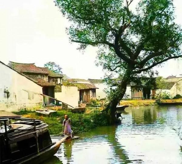 傳奇故事：《鵪鶉案》