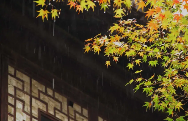 58歲阿姨傾訴：找有6000退休金的老頭搭夥，一年不僅搭錢還出了力