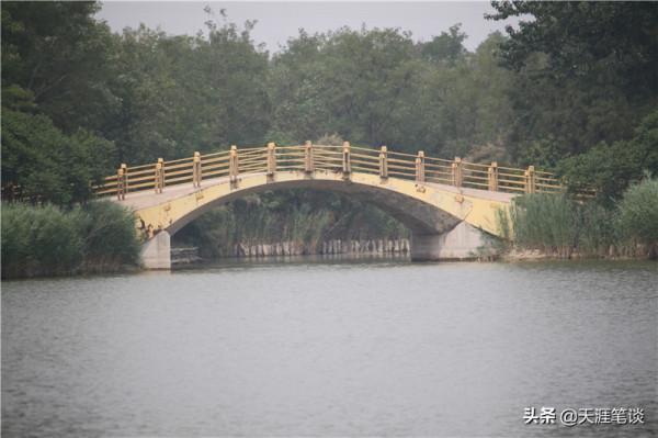 塘沽免費公園值得遊，順其自然地體驗，領略不一樣風景
