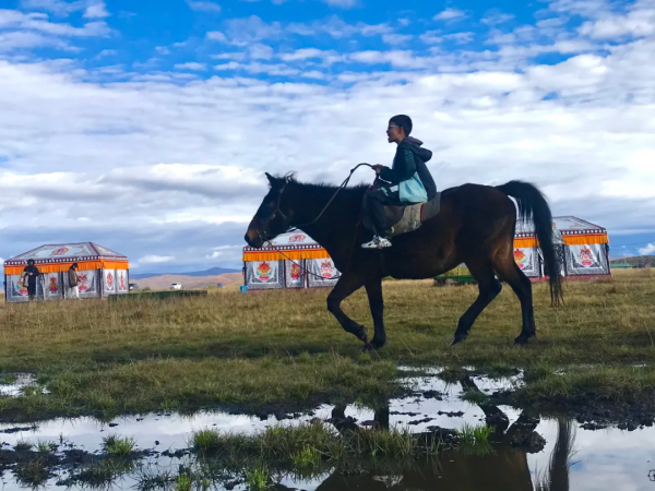 小長假已結束,你玩兒爽了嗎 小長假已結束,你玩兒爽了嗎