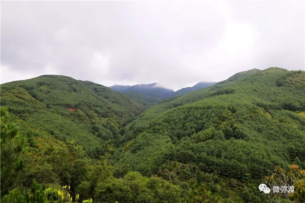 春節假期，咱彌渡有這些好去處