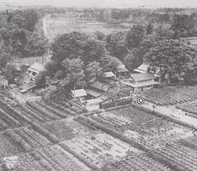 日本60年懸案，宮崎駿動畫，細思極恐的龍貓殺人事件