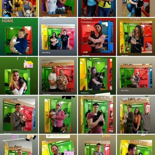 藝術家筆下的貓咪童話世界,滿滿的貓咪頭像,總有一款是你喜歡的 藝術家筆下的貓咪童話世界,滿滿的貓咪頭像,總有一款是你喜歡的