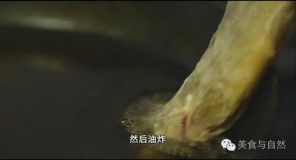 走進小森林之秋季篇