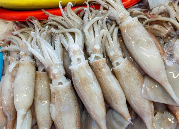 含“寄生蟲”最多的3種海鮮,沒營養還貴,老闆自己從不吃 含“寄生蟲”最多的3種海鮮,沒營養還貴,老闆自己從不吃