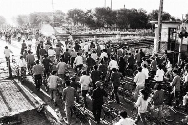 觀察：縣城再無清華北大的後果