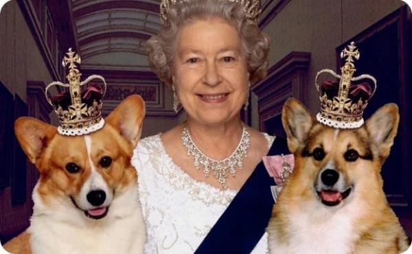 一歲一顆鑽石：女王為母親百歲壽辰慶生，100顆鑽石的胸針表孝心