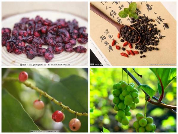 中醫之四氣五味