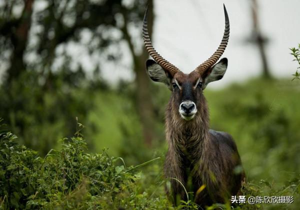 那庫魯保護區,成全你的瀟灑與冒險 那庫魯保護區,成全你的瀟灑與冒險