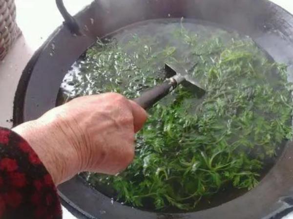 堅持用“艾葉”洗頭，頭髮會有何變化？護髮時應注意什麼