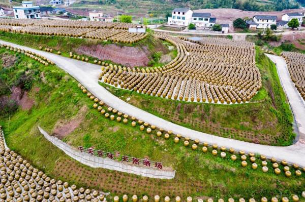 自貢古法曬醋:2萬個“醋罈子”露天晾曬 千天曬出幸福“百味” 自貢古法曬醋:2萬個“醋罈子”露天晾曬 千天曬出幸福“百味”