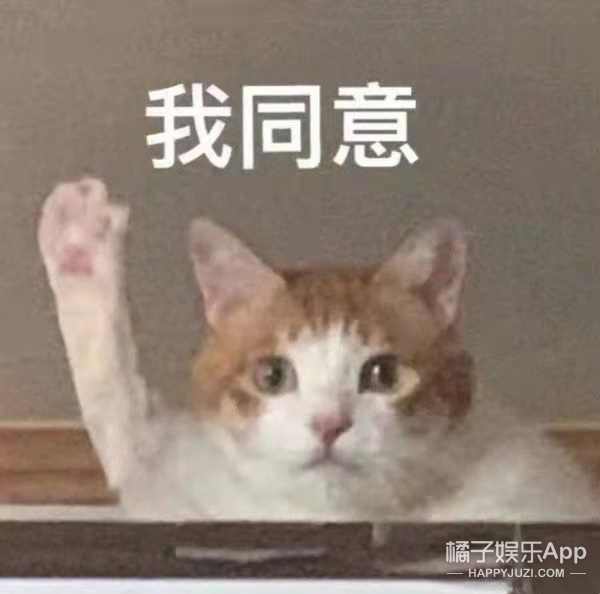 嘉南傳變成奇蹟暖暖？鞠婧禕還是萬年不變精修妝容，和劇目都不配