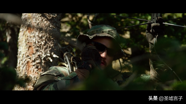 孤獨的倖存者:塔利班圍剿海豹突擊隊,19名精英成員全部犧牲 孤獨的倖存者:塔利班圍剿海豹突擊隊,19名精英成員全部犧牲