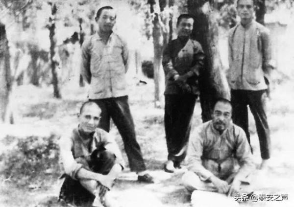 山東泰西抗日武裝起義