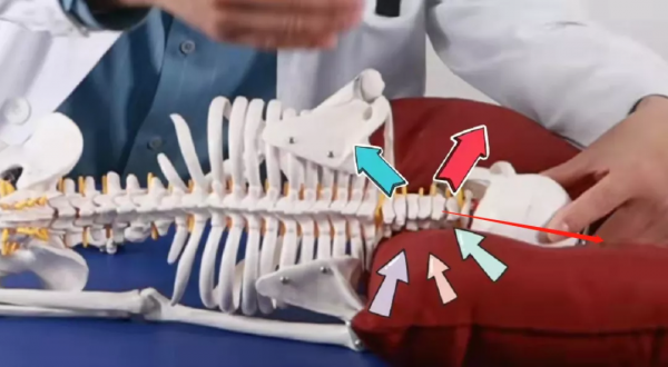 高枕？低枕？用錯傷頸！專家教你怎麼選枕頭