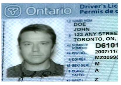 還有誰的駕照考試比我更笨更難（上）