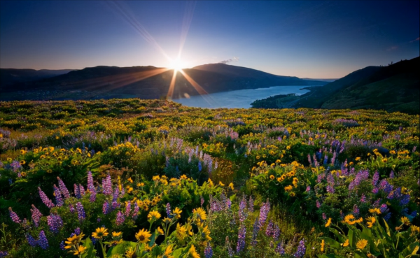 想要過好這一生，牢牢記住孔子的這4句話吧