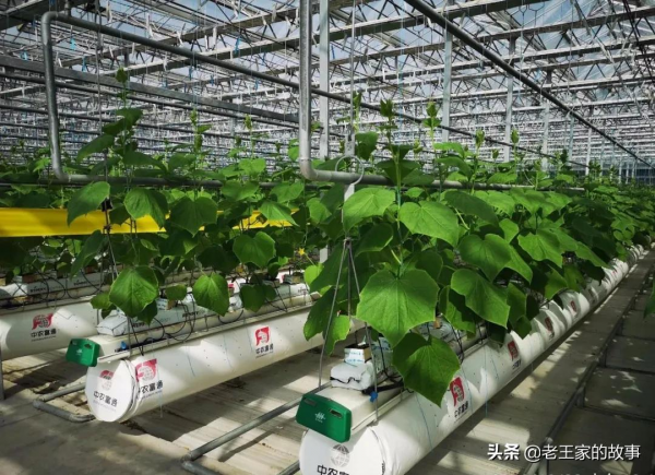 鄉村振興關鍵點:鄉村產業發展的“3544”理念 鄉村振興關鍵點:鄉村產業發展的“3544”理念