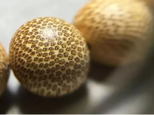 這些文玩您能認幾個