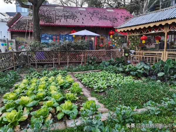寒冬花展一一植物園百花爭迎春