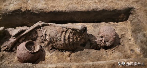 上山尋稻——走進國博“稻·源·啟明”上山文化考古特展