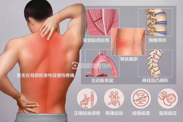後背、肩胛骨區域疼痛是怎麼回事？該如何應對？告訴您