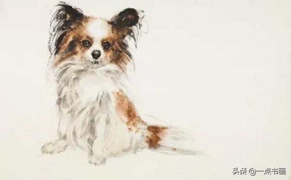名家教你畫萌寵狗狗