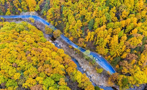 白雲山進入賞秋最佳時，提醒您一定做好個人防護