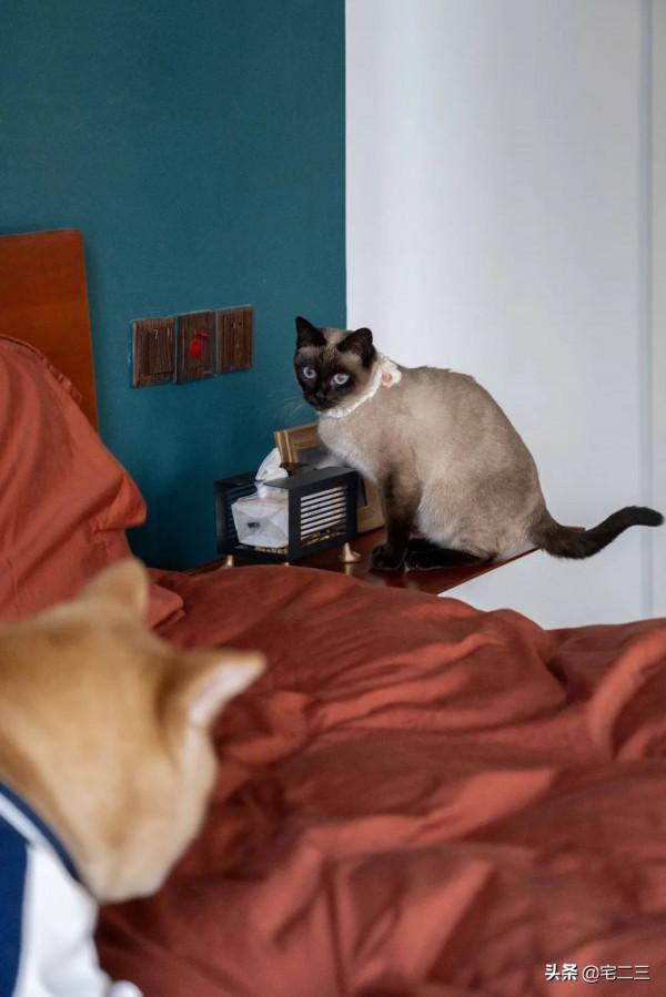 恐婚？不存在的，95後小紅書博主打造焦糖色的&OpenCurlyDoubleQuote;四口之家&rdquo;