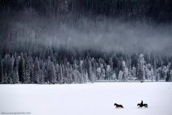 冬季，中國最後一片淨土喀納斯最安靜的季節，藏著中國最美的雪景