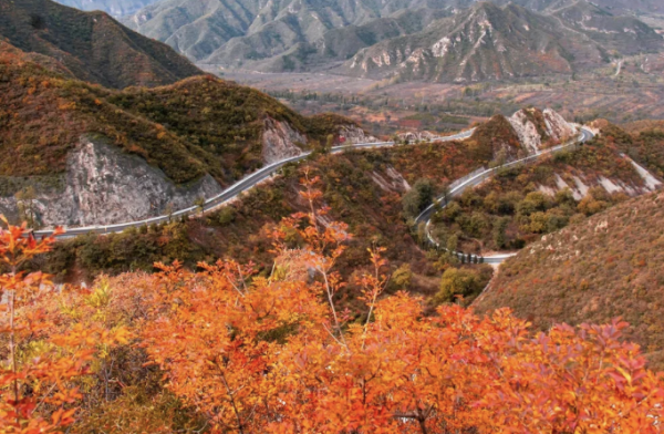 秋日靜美，斑斕如斯，北京號帶您“雲”賞深秋