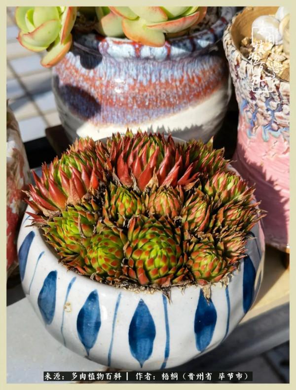 世間瞬息萬變，我們的友誼不變，閨蜜相聚，賞肉言歡