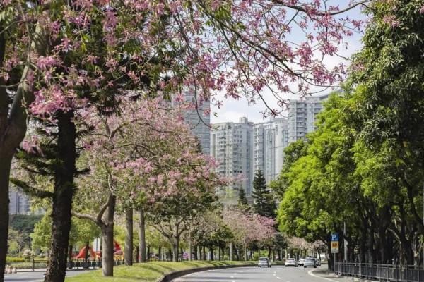 公立幼兒園教學就是不一樣,中班開始就對孩子進行自然教育 公立幼兒園教學就是不一樣,中班開始就對孩子進行自然教育