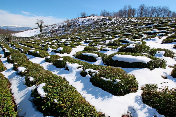 50張圖片，帶你見識俄羅斯，不為人知的另外一面