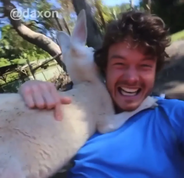 澳洲小哥靠一組照片成為“年度網紅”:絕了,每隻動物都會笑? 澳洲小哥靠一組照片成為“年度網紅”:絕了,每隻動物都會笑?