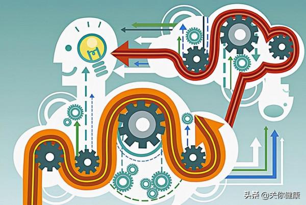 最新研究發現,肌肉會與肝臟溝通,影響晝夜節律及脂肪代謝 最新研究發現,肌肉會與肝臟溝通,影響晝夜節律及脂肪代謝