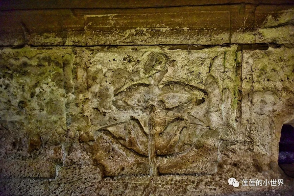 尋古蹟的蓮蓮:神秘洞穴 | 古郪國消逝後的郪江崖墓群 尋古蹟的蓮蓮:神秘洞穴 | 古郪國消逝後的郪江崖墓群